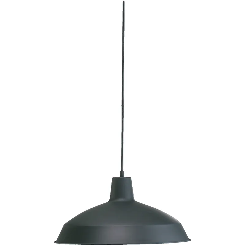 Fort Worth 1 Light 16 inch Matte Black Pendant Ceiling Light