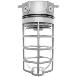 RAB 150W Ceiling Mount Vaporproof Light Natural 120V