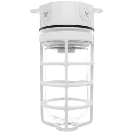 RAB 150W Ceiling Mount Vaporproof Light White 120V
