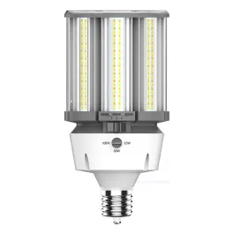 RAB LED HID Retrofit Lamp - EX39 Base - CCT Selectable - 120-277V