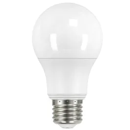 RAB 9W LED A19 Lamp - 3000K - 800 Lumens - 120V