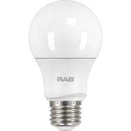 RAB 10W LED A19 Lamp - Dimmable - 2700K - 800 Lumens - 120V