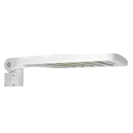 RAB ALED LED Area Light - Type II - Slipfitter Mount - 4000K - 120-277V - White