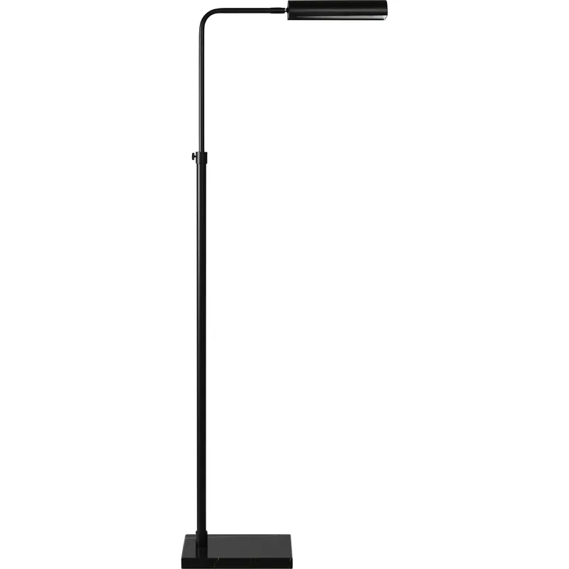 Fadia 60 inch 40 watt Matte Black Floor Lamp Portable Light