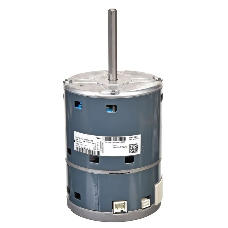 RHEEM 51-107375-00 Motor 1hp 120V Variable Speed