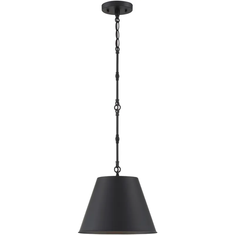 Alden 1 Light 12 inch Matte Black Pendant Ceiling Light, Essentials