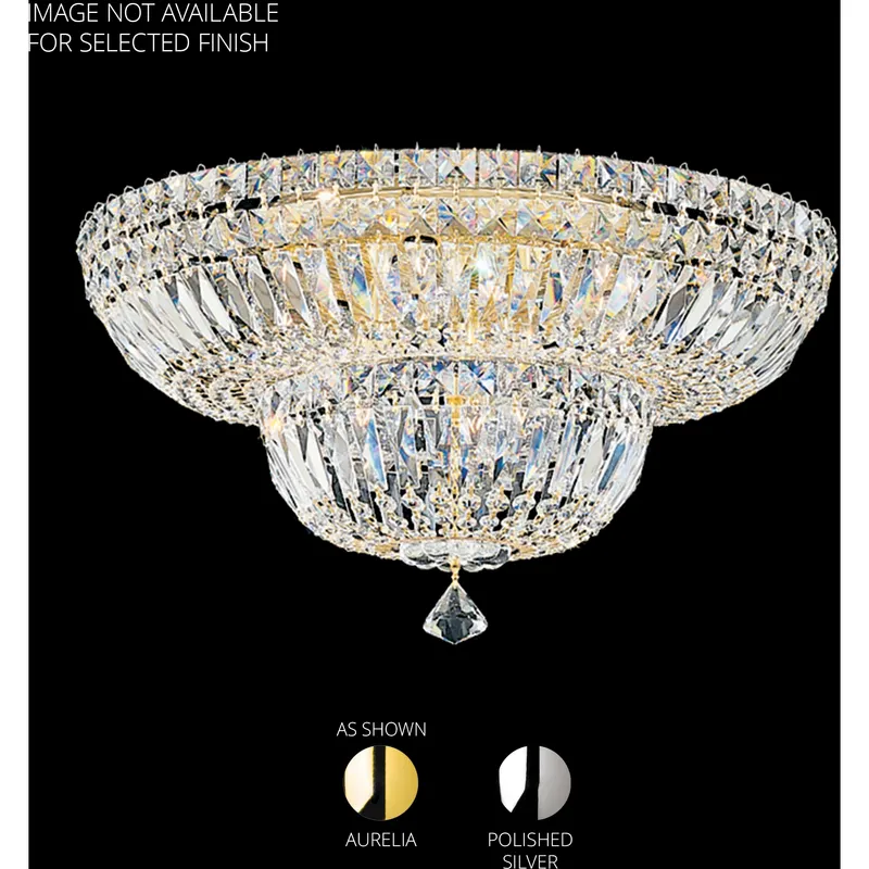 Petit Crystal Deluxe 9 Light Polished Silver Flush Mount Ceiling Light in Radiance