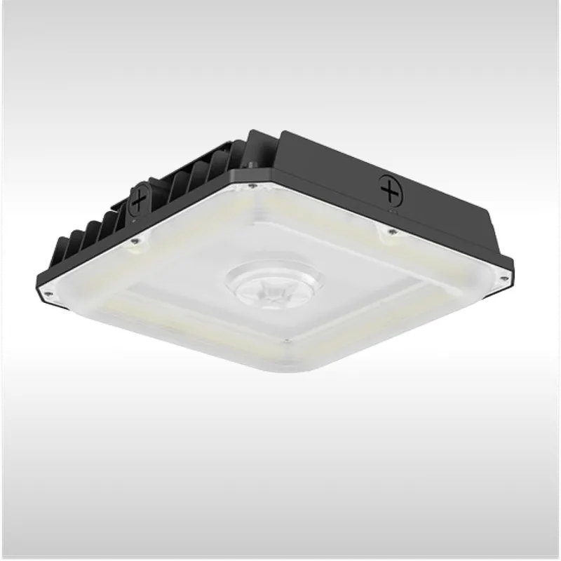 LED Garage Canopy Light TK-CP02G Series