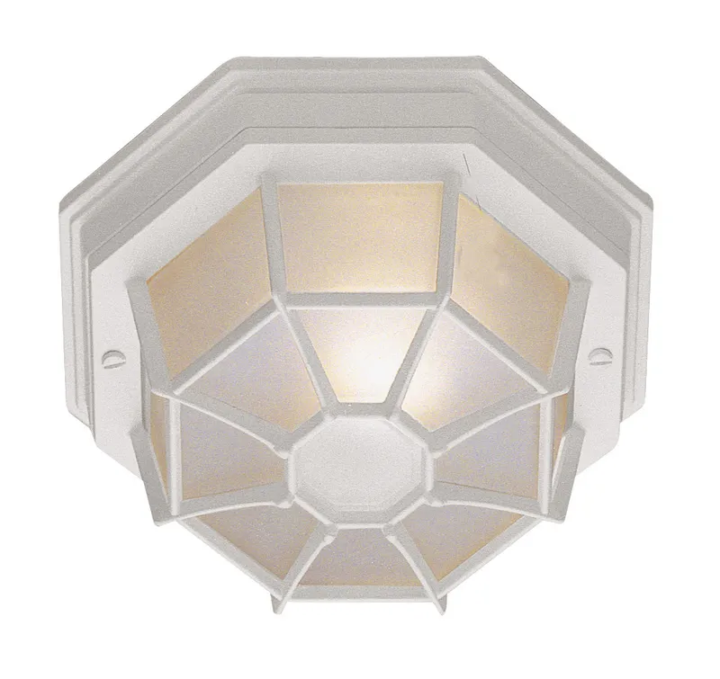 Trans Globe Lighting Outdoor Ceiling Lights