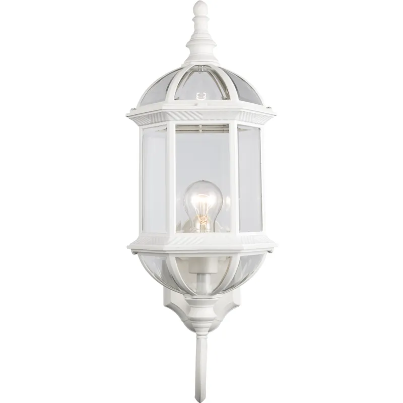 Botanica 1 Light 22 inch White Outdoor Wall Lantern