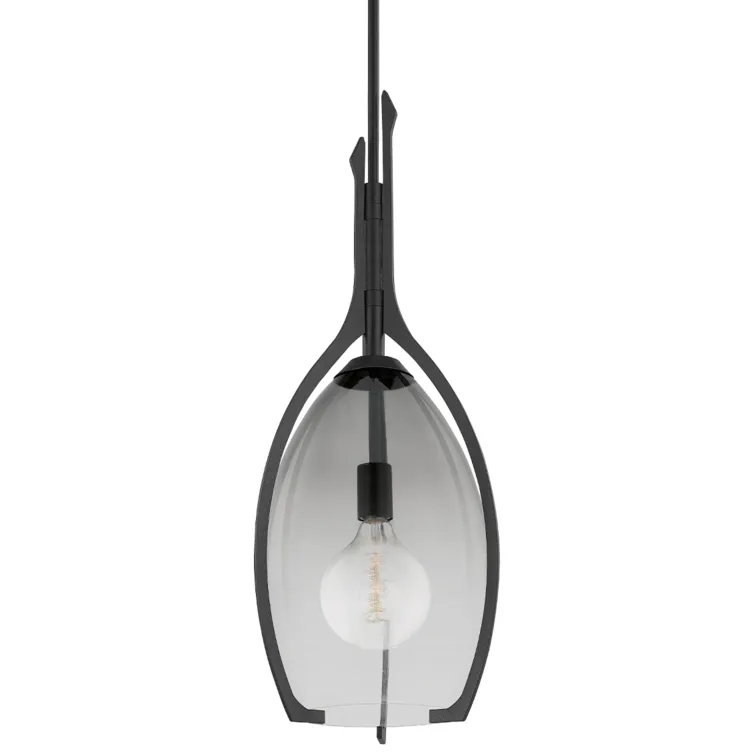 Pacifica 1 Light 12.5 inch Forged Iron Pendant Ceiling Light