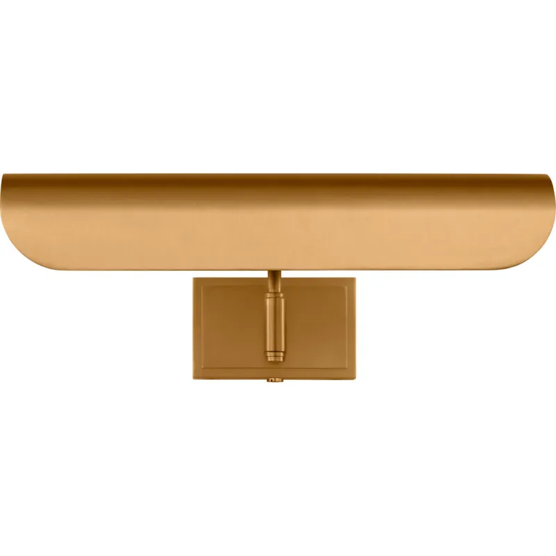 C&M by Chapman & Myers Hull 50 watt 13 inch Burnished Brass Picture Light Wall Light
