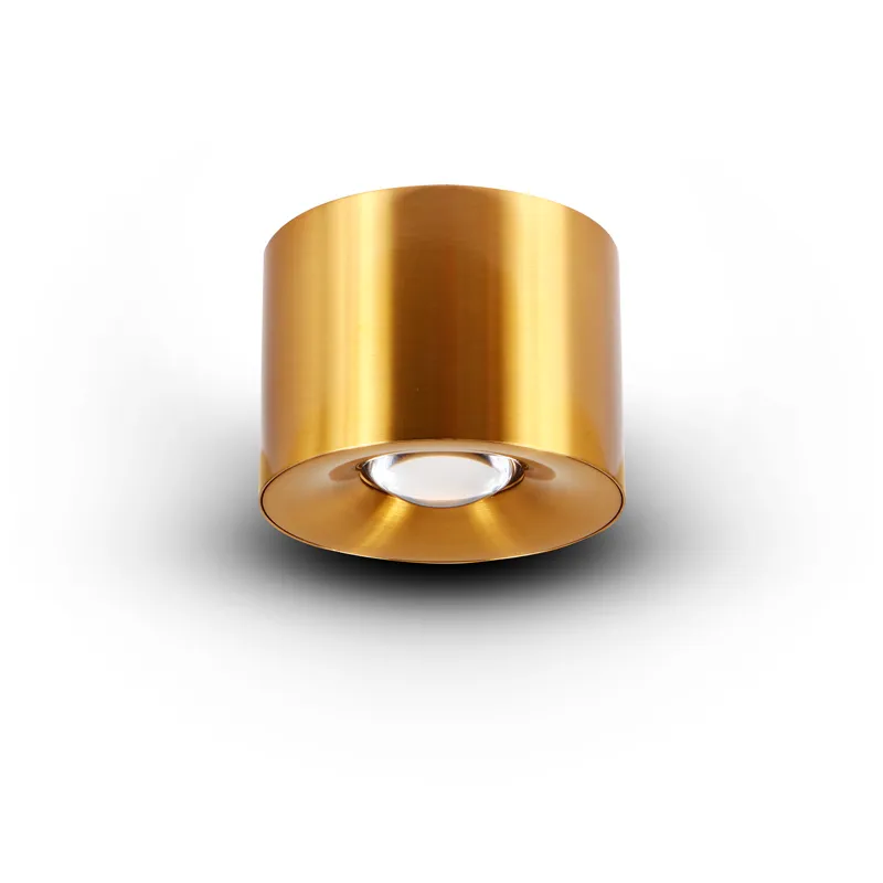 NODE Series Antique Brass Surface Mounted Downlight Ceiling Light