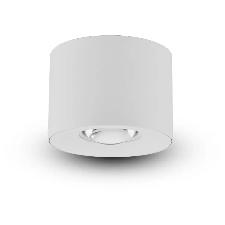 NODE Series White Surface Mounted Downlight Ceiling Light