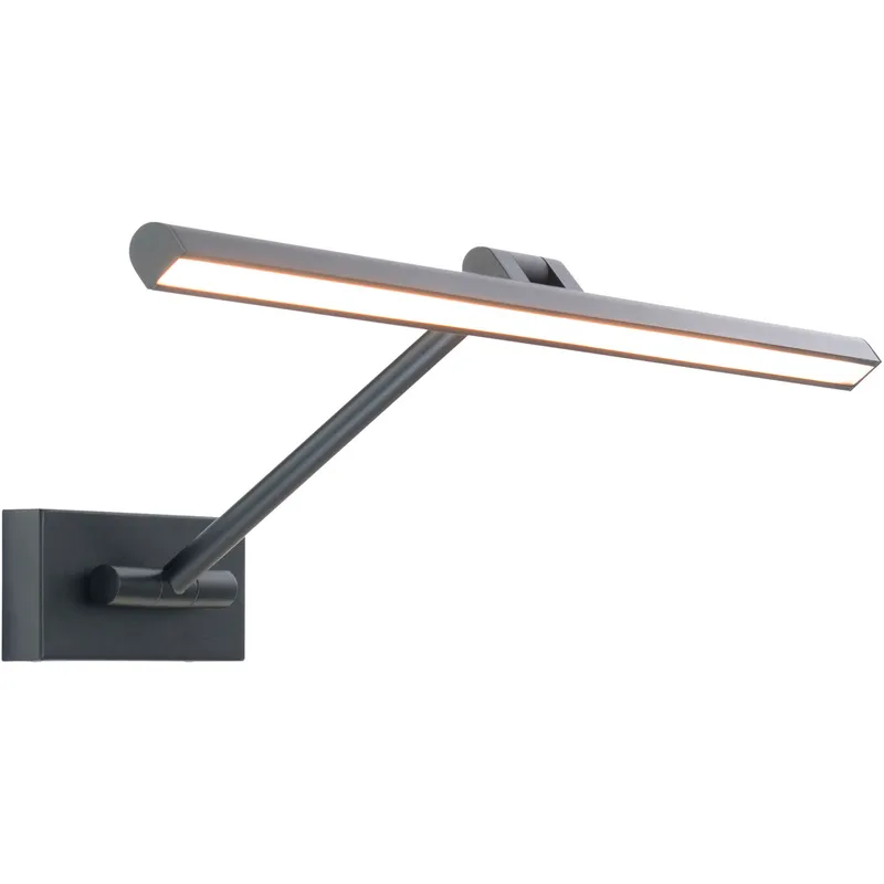 Reed 17.00 watt 24.5 inch Black Picture Light Wall Light, dweLED