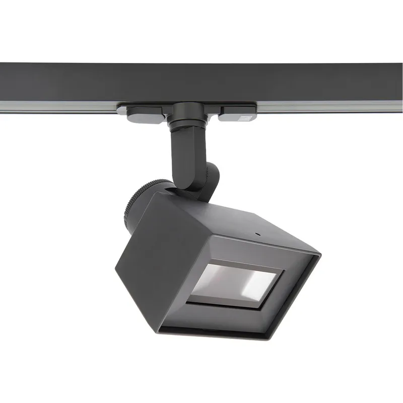 LED5028 LED Module Platinum Adjustable Wall Wash in 3000K, W Track