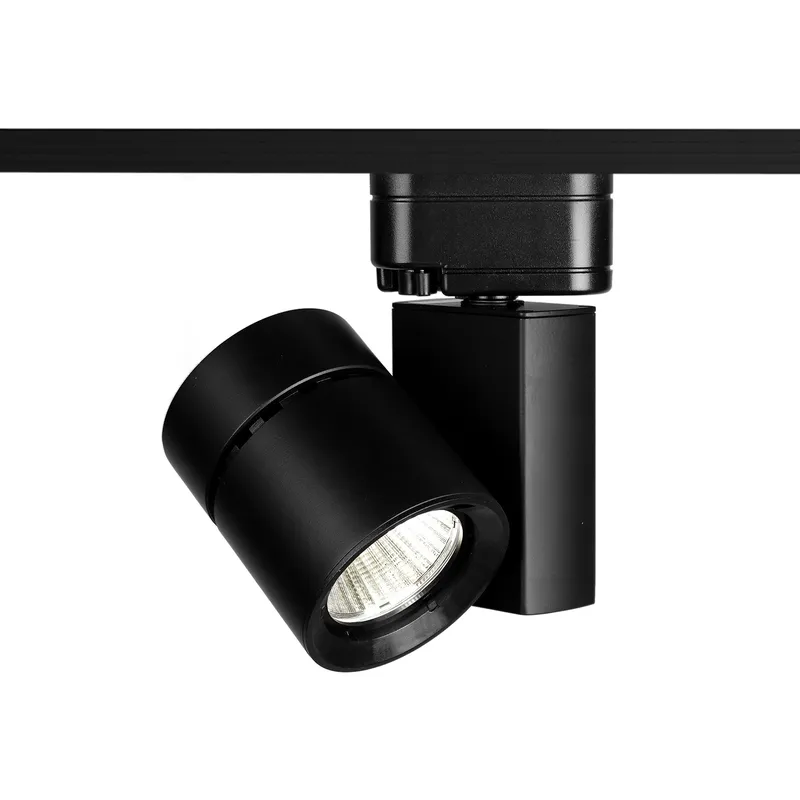 Exterminator II 1 Light 120 Black H Track Fixture Ceiling Light in 3000K