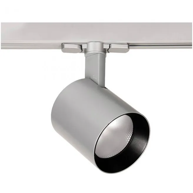 Lucio 1 Light 120 Platinum Track Head Ceiling Light in Flood, 85, 2700K