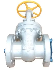 Warren Alloy 2121305C8 Gate Valve 300# 2-1/2 inch