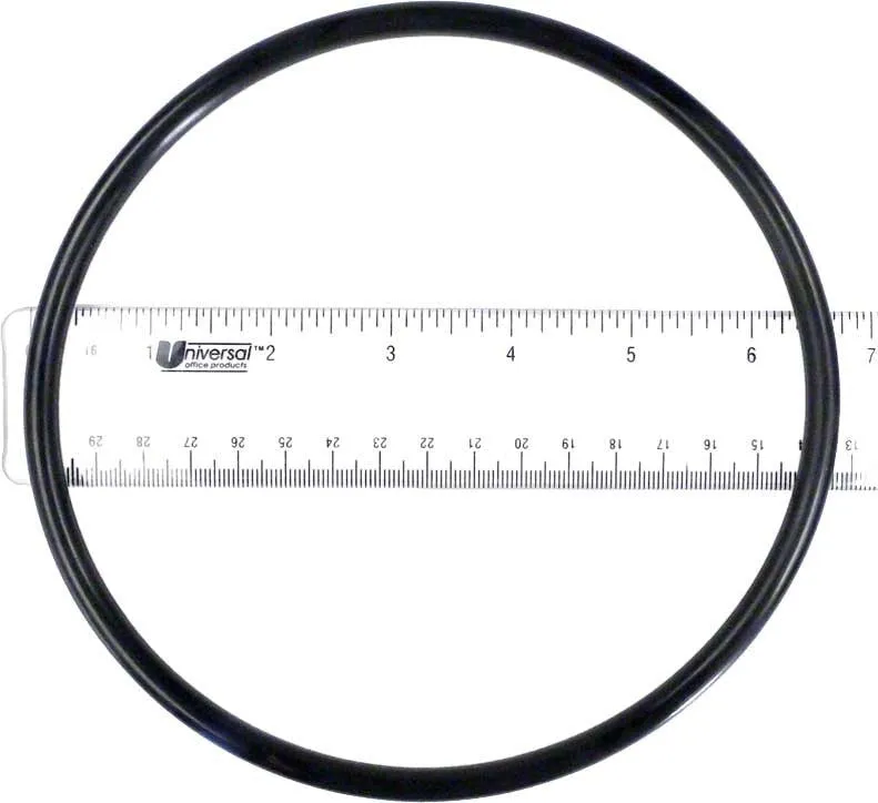 Waterco 63151 O-Ring for Hydrostorm Lid (Replacement 63151)