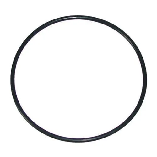 Waterway Plastics 805-0239 O-Ring for Pool Valve