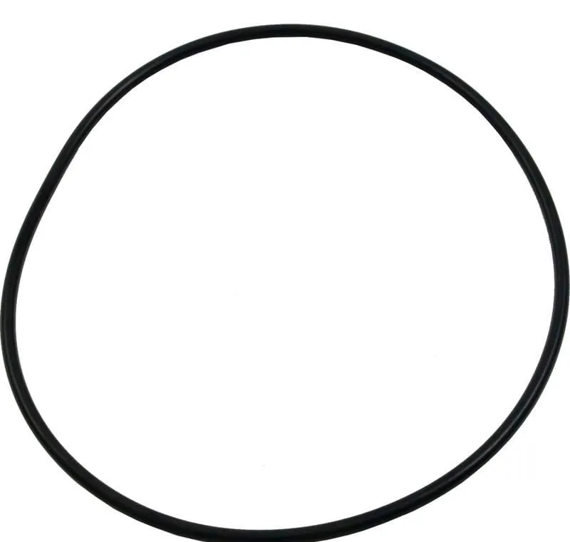 Waterway Plastics 805-0252 O-ring faceplate CD center discharge O139