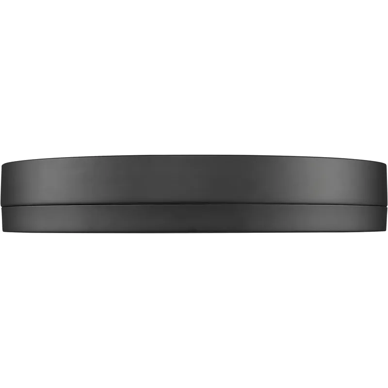 Algar LED 16 inch Matte Black Flush Mount Ceiling Light