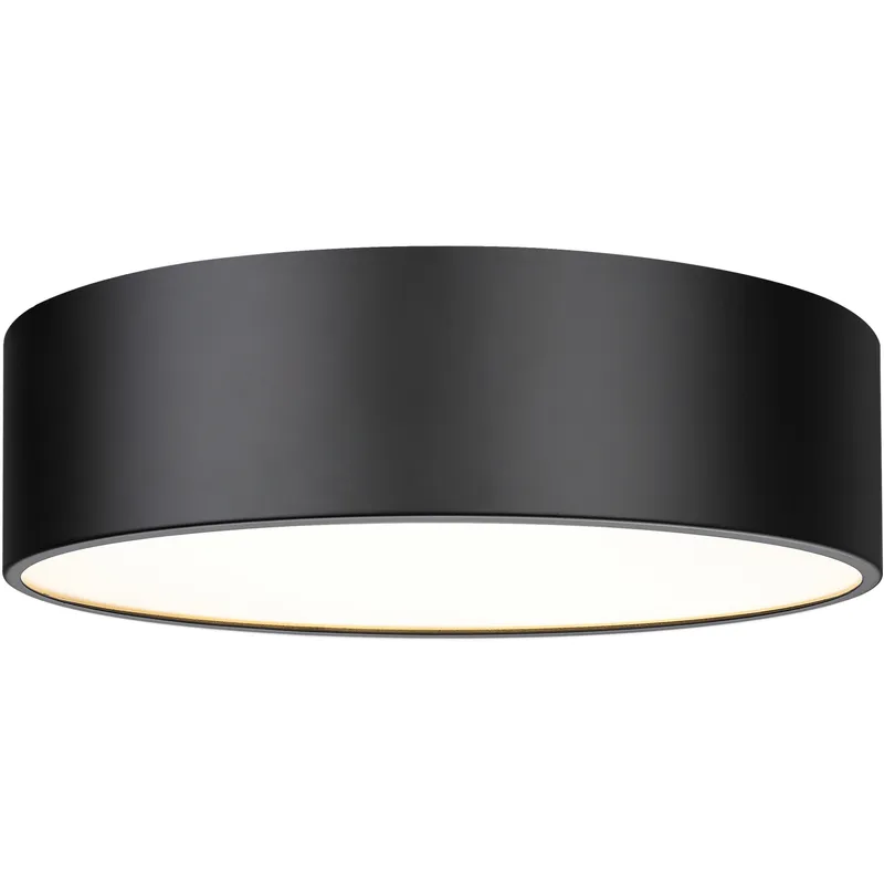 Harley 4 Light 20 inch Matte Black Flush Mount Ceiling Light