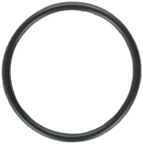 Zodiac W151201 Nature2 O-Ring Replacement for DuoClear Water Sanitizers