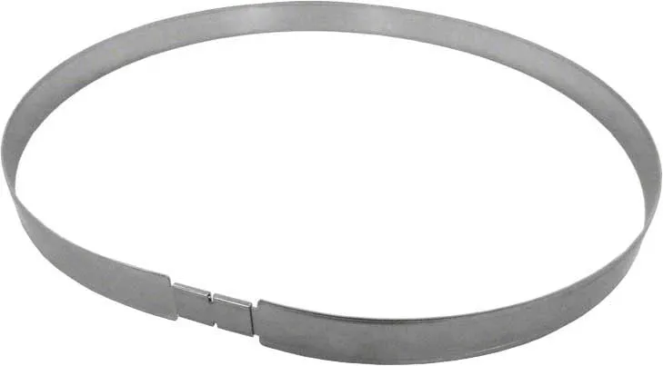 Zodiac R0405200 Retaining Ring Kit Jandy Large Filter