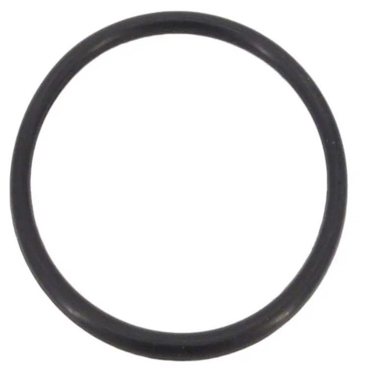 Zodiac W150131 LM2 O-ring Replacement W150131
