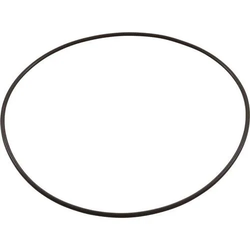 Zodiac Pool Systems 1-13-39 O-Ring Lg for Clear Lid Leaftrapper