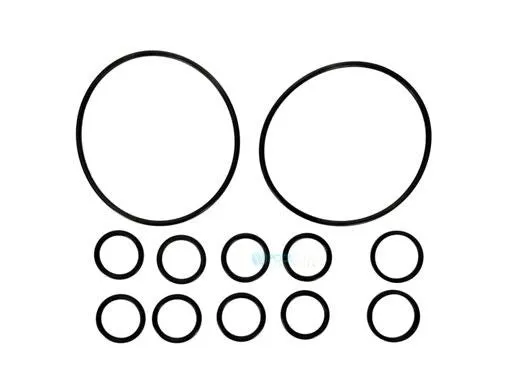 Zodiac R0552400 Jandy Never Lube Backwash Valve O-Ring Kit Replacement MPN