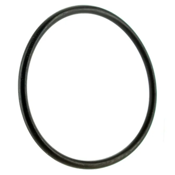 Zodiac Pool System R0968900 Polaris Forza Above-Ground Pool Pumps Lid O-Ring